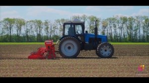 Междурядная культивация трактор МТЗ + Trimble