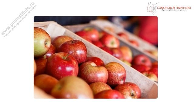 Портфель проектов - управление портфелем проектов смотреть онлайн