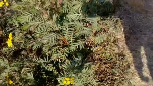 Поход на реку Дон с рыбалкой, в Воронежской области.