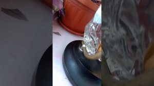 часы Маяк в хрустале