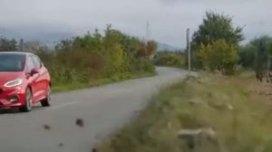 Ford Fiesta ST-Line 2017