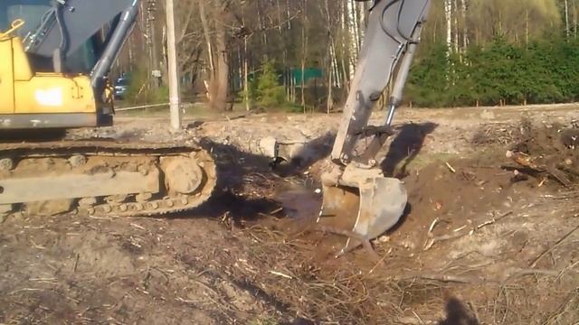 Корчевка пней и ровнение откосов канавы экскаватором