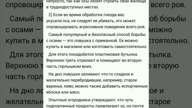Укус Осы. Что делать? Осы в огороде. Способы борьбы в домашних условиях смотреть онлайн