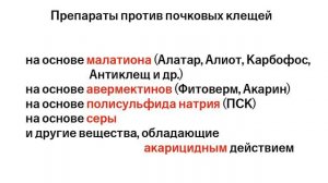Почковый клещ на смородине. Как бороться и чем обработать смородину