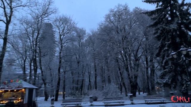 Конец ноября?2023?Калининград ❄️ смотреть онлайн