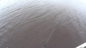 Проверка сетей на реке,вода прёт недуром.