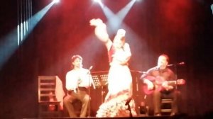 Flamenco vivo en Opus Teatro