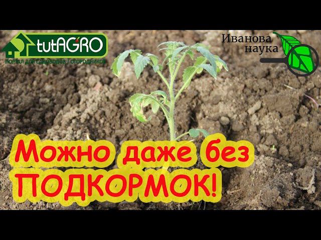 УДОБРЕНИЯ НЕ ПОНАДОБЯТСЯ! Наполняем лунки и грядки ТОЛЬКО БЕСПЛАТНО! Органика для нашего урожая.