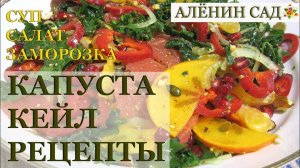 Капуста КЕЙЛ как готовить? / Суп, салат, заморозка