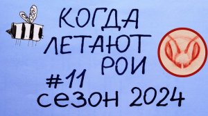 Ловим рои всё лето. Видео #11