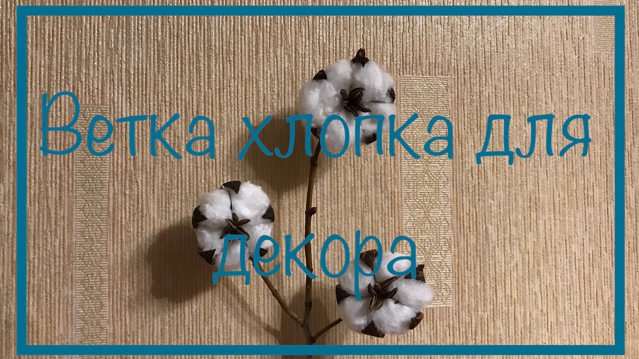 Как сделать ветку хлопка для декора из подручных материалов ?.mp4