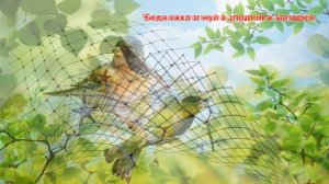 Басня И.Крылова "Чиж и голубь"