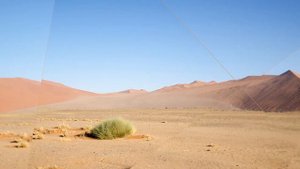 Просторы сюрреализма.  Пустыня Намиб. Намибия.