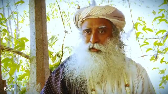 #sadhguru смотреть онлайн