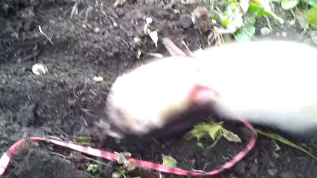 изюм и кучка земли смотреть онлайн