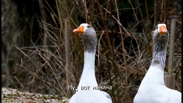 Я тебе духи купил смотреть онлайн