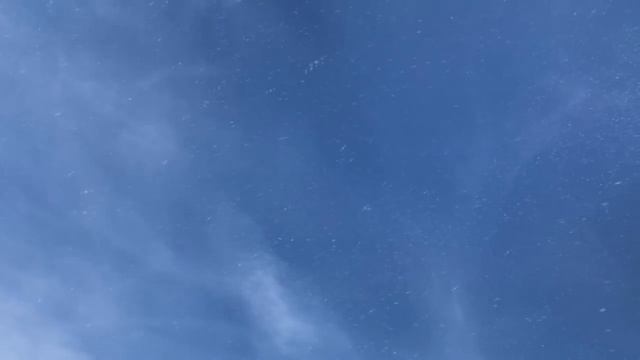 ⭐️Заговоры на Рождество 2024: деньги, богатство, здоровье, успех! Лучшие Рождественские заговоры!