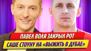 Павел Воля закрыл рот Саше Стоуну на «Выжить в Дубае»
