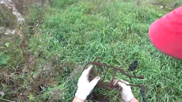 Металлокоп 2023 ! Тут никто не копал смотреть онлайн