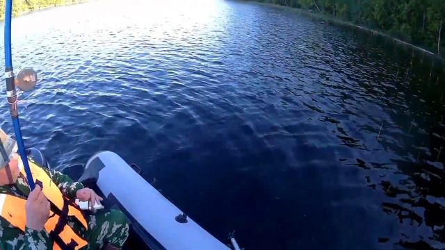 Рыбалка на удочку #рыбалка#онежскоеозеро#карелия