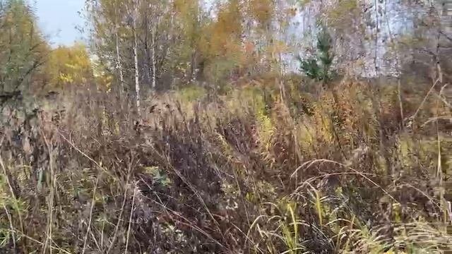 с. Константиново