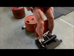 Тренировка ног без нагрузки на спину Г. Зобач персональный тренинг