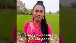 Степан! Вернись - плач трансвестита
