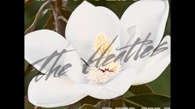 The Heatles - Magnolia Remix ( playboi carti ) смотреть онлайн