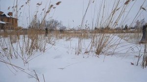 МОТОСНОУБОРДЫ В ПОЛЕ НА ГЛУБОКОМ СНЕГУ! Это бомбически! ЧЕСТНЫЕ ПОКАТУХИ С СИБМАСТЕР.