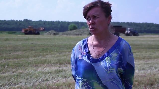 Племенной завод-колхоз "Аврора" смотреть онлайн