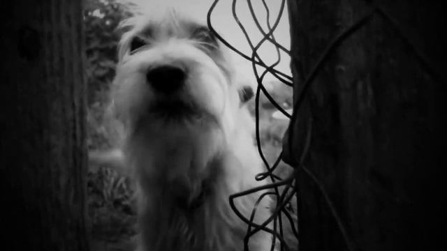 Тайна исчезнувшей деревни смотреть онлайн