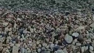 Медитация Разрыв энергетических связей