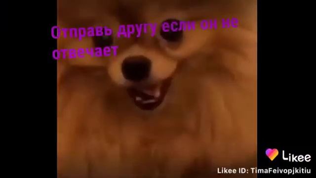 Отправь другу если он не отвечает смотреть онлайн