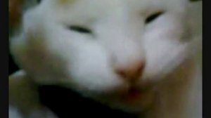Официальный клип Корки Бучек