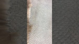 Урок 1. Перфорация меха песца.