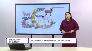 Биология. 11 класс. Способы клонирования организмов /08.02.2021/