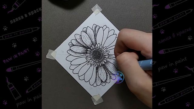 Гербера ? рисунок маркерами