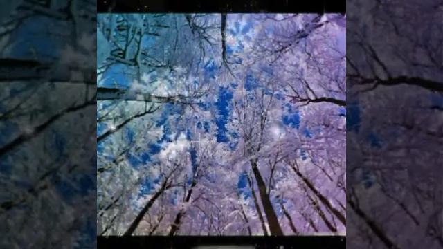 ❄⛄🌨С НОВЫМ ГОДОМ! КРАСИВОЕ ПОЖЕЛАНИЕ смотреть онлайн