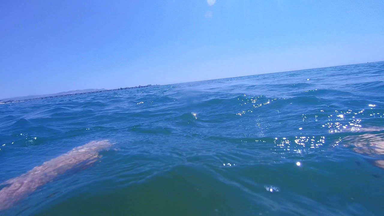 Корнеротики 2 смотреть онлайн