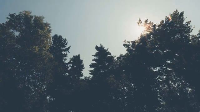 Ревнивая истеричка не давала покоя мужу уже спустя три недели после свадьбы. Жизненные истории. смотреть онлайн