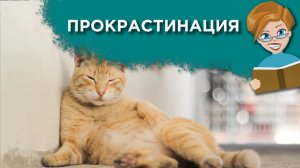 Как перестать откладывать дела на потом