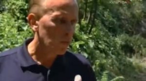 Кампания Сасанидов  Персидская империя   Древняя Персия   история могущественной персидской империи