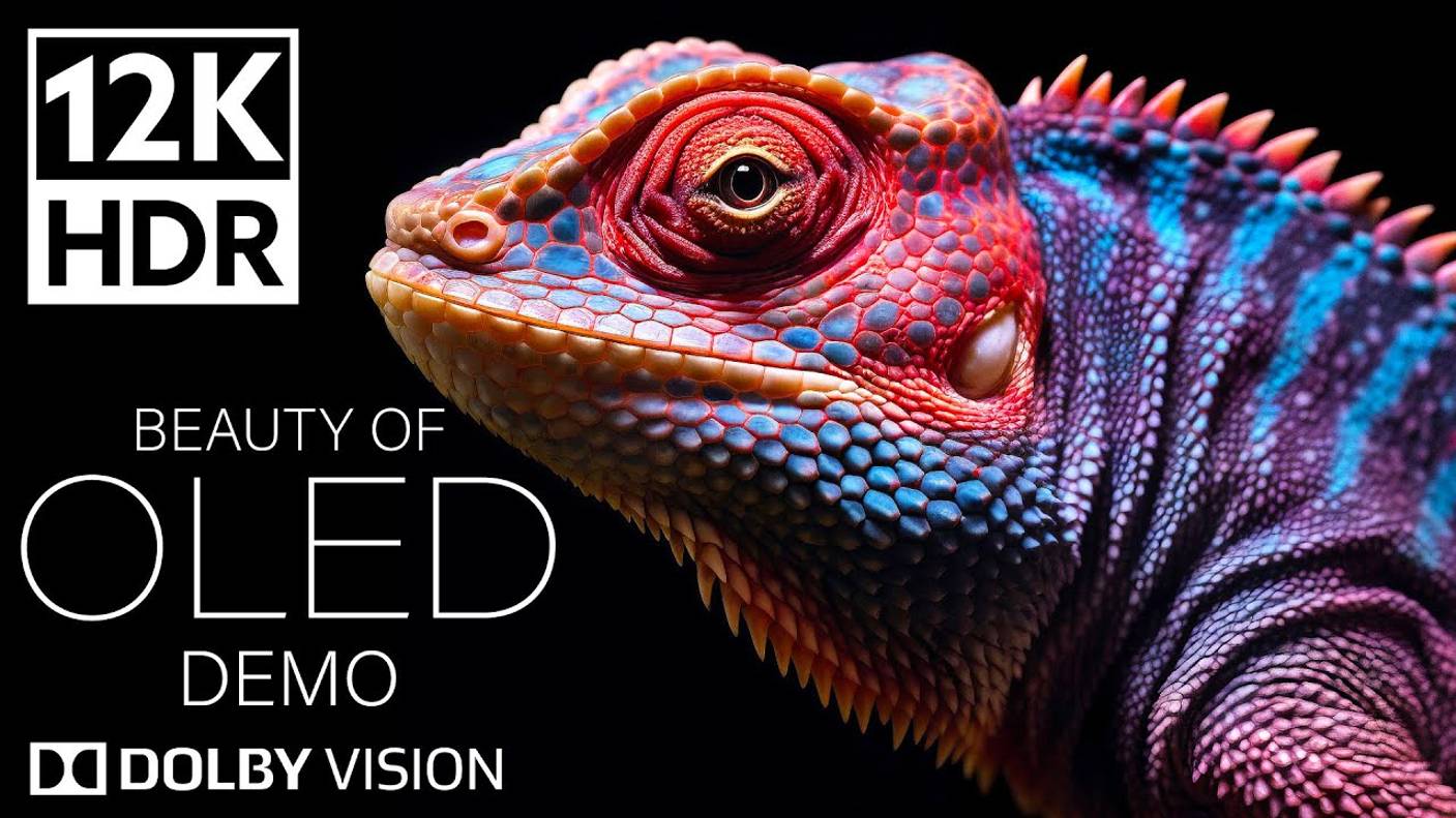 ЦВЕТА РАЯ of Dolby Vision 12K HDR 240fps 8K TV смотреть онлайн