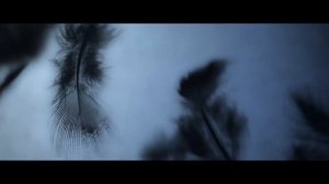 Чёрный ворон, 2017