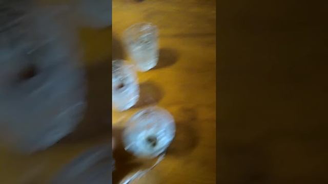 Стратификация фундука Трапизунд смотреть онлайн