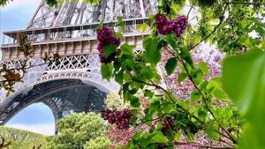 Francis Lemarque – À Paris