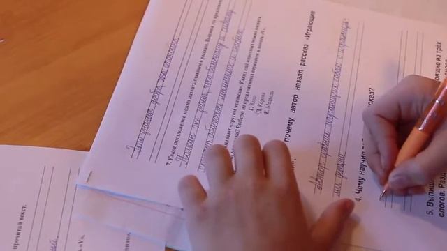 Ребенок пишет контрольную по литературному чтению. "Играющие собаки" работа с текстом. 2 класс смотреть онлайн