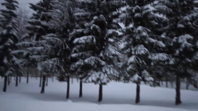 Canon EOS 7D | молчаливый обзор смотреть онлайн