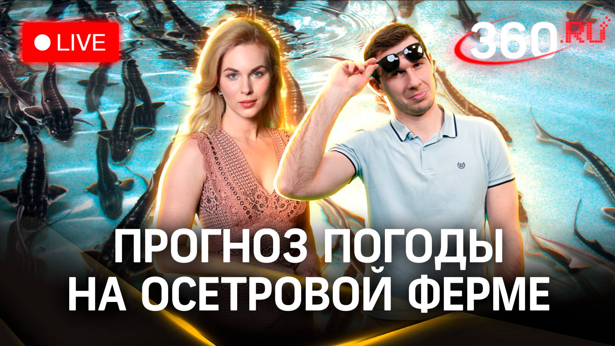 Метеострим 360. День икры. Прогноз погоды | Илич. Засобина
