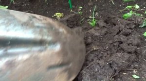 О ПОЧВЕ.  СОЗДАНИЕ И ОБРАЗОВАНИЕ ПОЧВЫ - НАГЛЯДНО!